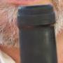 Avatar du membre