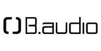 B.audio