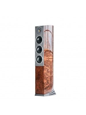 Audiovector-Audiovector R8 Arreté-20