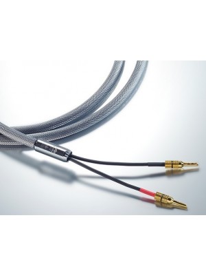 Siltech-Siltech Explorer 180L Sconn Banana-20