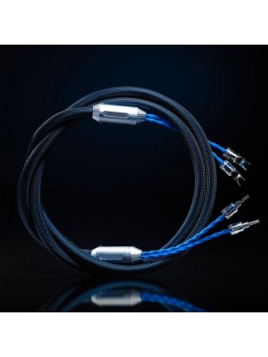 Siltech-Siltech Classic Legend 880 L SB007-20
