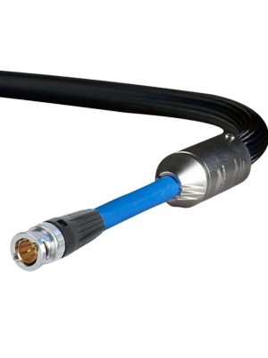 Siltech-Siltech Royal Signature Golden Eagle 75 BNC-20