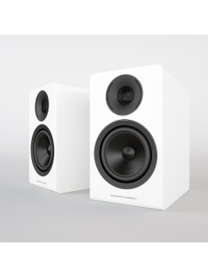 Acoustic Energy AE300