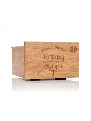 Entreq-Entreq Olympus Infinity T Ground Box-20