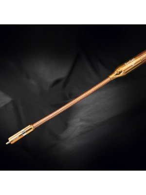 ZenSati-ZenSati Angel interconnect-20