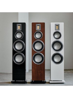 Audiovector-Audiovector QR7-20