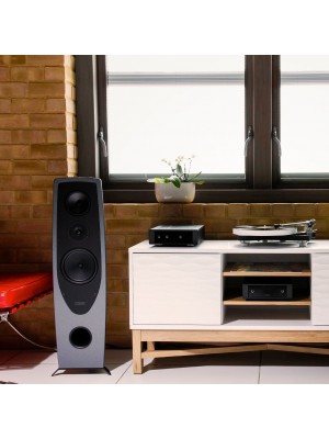 REGA-Enceinte REGA AYA-20