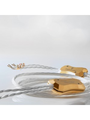 Crystal Cable-Crystal Cable Da Vinci Speaker-20