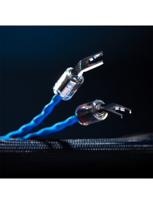 Siltech-Siltech Classic Legend 680 L SSP007 2.5m Déstockage-20