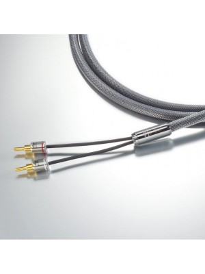 Siltech-Siltech Explorer 90L S-Conn Banana SB006-20