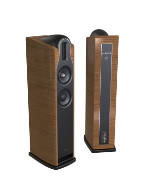 Jean-Marie Reynaud-JMR Auralis-20