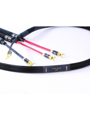 Purist Audio Design-Purist Audio Design 25th Anniversary Speaker Cable-20