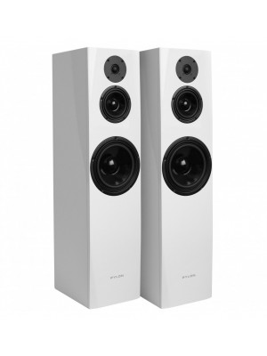 PYLON-Pylon Sapphire 31 Prestige-20