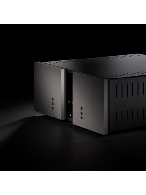 Vitus Audio-Vitus Audio RI-101 Mk.II Integrated Amplifier modèle de démonstration-20