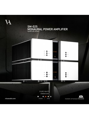 Vitus Audio-Vitus Audio SM-025 Monaural Power Amplifier-20