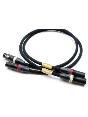 ACTINOTE-Actinote Sonata XLR EVO II-20