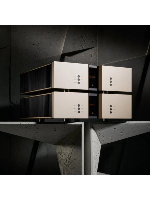 Vitus Audio-Vitus Audio SM-011 Monaural Power Amplifier-20