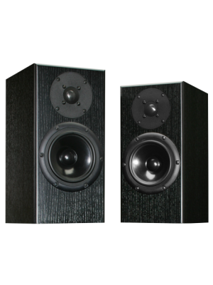 Totem Acoustic Rainmaker