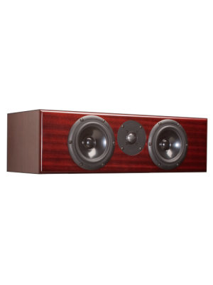 Totem Acoustic Rainmaker Center