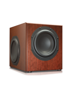 Totem Acoustic Storm