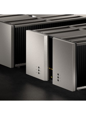 Vitus Audio-Vitus Audio MP-M201 Monaural Power Amplifier-20