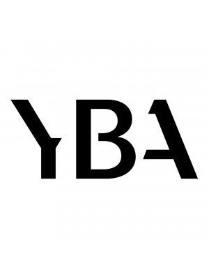 YBA-YBA Câble Secteur Diamond-20