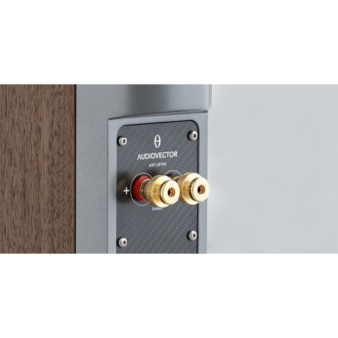 Audiovector-Audiovector R3 Arreté-00