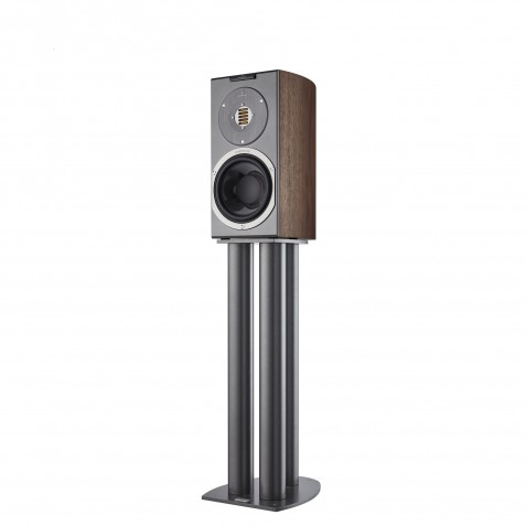 Audiovector-Audiovector R1 Avantgarde-00