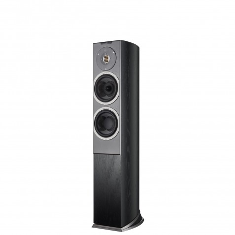 Audiovector-Audiovector R3 Avantgarde-00
