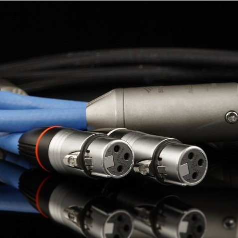 Siltech-Siltech Royal Signature Pricess XLR-00