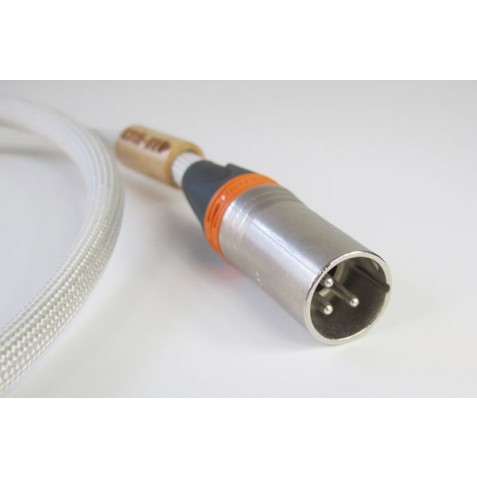 ACTINOTE-Actinote Digit Aria XLR EVO II-00