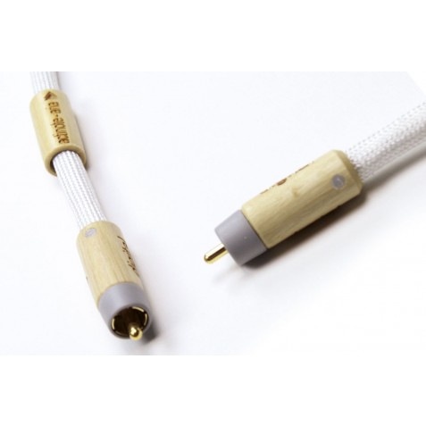 ACTINOTE-Actinote Digit Aria RCA EVO II-00