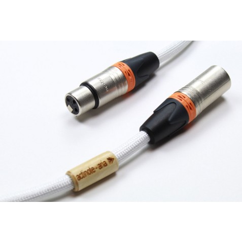 ACTINOTE-Actinote Digit Aria XLR EVO II-00