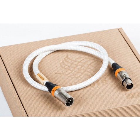ACTINOTE-Actinote Digit Aria XLR EVO II-00