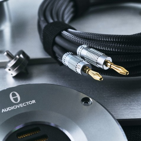 Audiovector-Audiovector Trapeze Reimagined-00