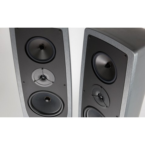REGA-Enceinte REGA AYA-00