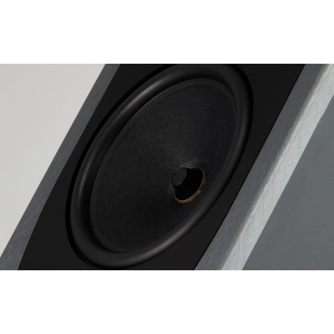 REGA-Enceinte REGA AYA-00