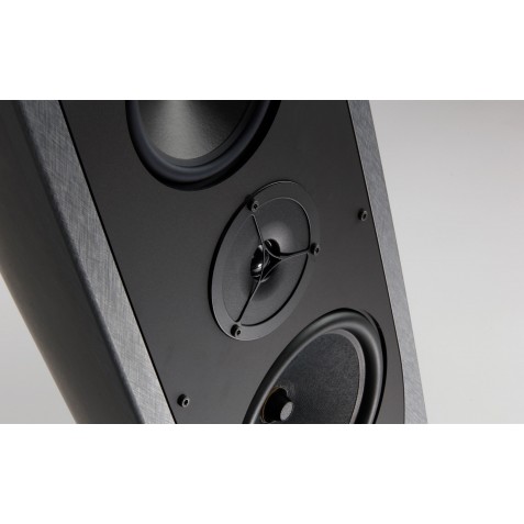 REGA-Enceinte REGA AYA-00