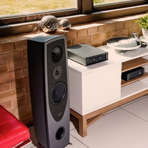 REGA-Enceinte REGA AYA-00