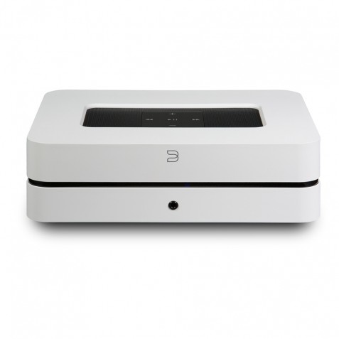 Bluesound Powernode 2i