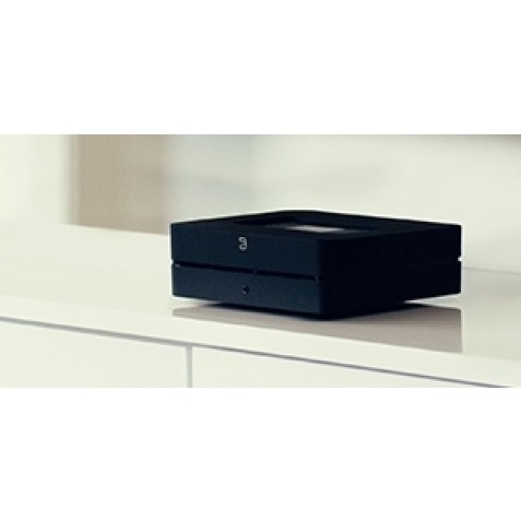 Bluesound Powernode 2i