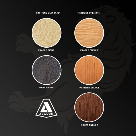 Avalon Acoustics-Avalon Acoustics PM2.2-00