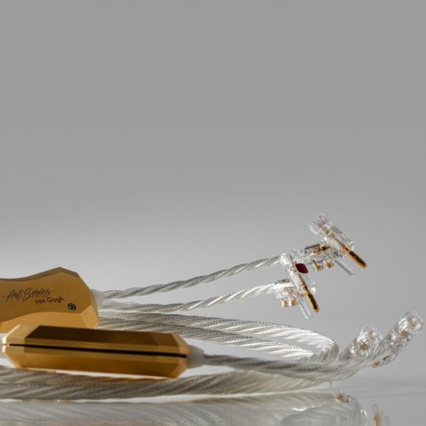 Crystal Cable-Crystal Cable Van Gogh Speaker-00