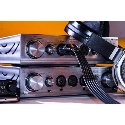 IFI Audio-iFi Audio Pro iCAN-00
