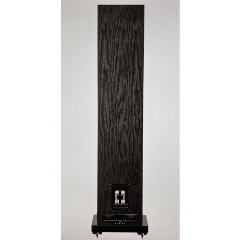 Fyne Audio F501E back