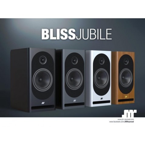 Jean-Marie Reynaud-JMR BLISS Jubilé bois modèle de démo-00