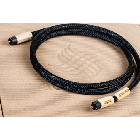 ACTINOTE-Actinote Mezzo Evo II Digit RCA-00
