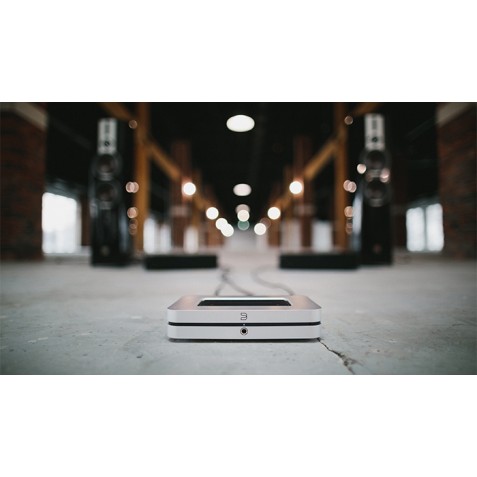 Bluesound Node X