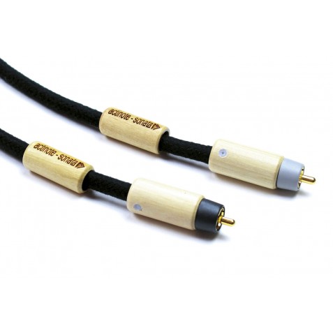ACTINOTE-Actinote Sonata RCA EVO II-00