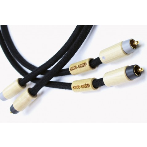 ACTINOTE-Actinote Sonata RCA EVO II-00
